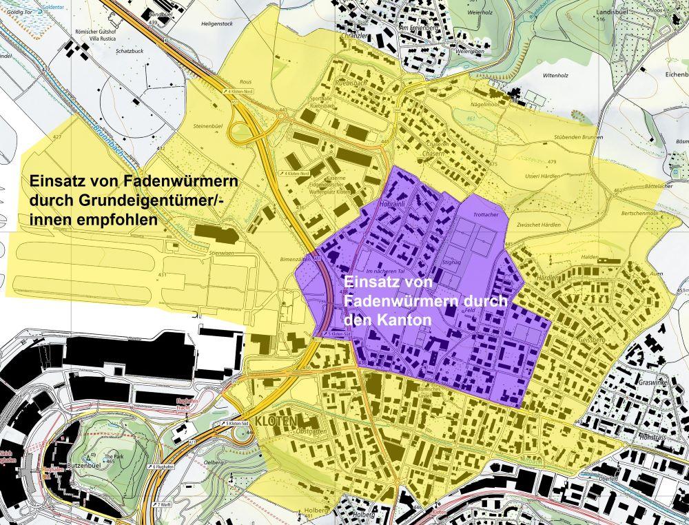 Die Karte zeigt eine violette und eine gelbe Zone in Kloten. In der violetten Zone setzt der Kanton Fadenwürmer ein. In der gelben Zone empfiehlt der Kanton den Grundeigentümer/-innen, Fadenwürmer einzusetzen