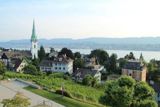 Rebberg im Siedlungsgebiet