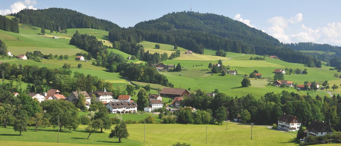 Blick von einem Gegenhang auf Girenbad bei Hinwil. Der Weiler ist eingebettet in grüne Wiesen mit Obstbäumen und kleinen Wäldchen. Im Hintergrund erhebt sich die bewaldete Flanke des Bachtels.