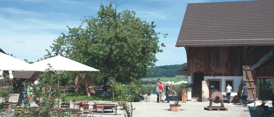 Vorplatz einer Scheune des Juckerhofs in Seegräben. Rechts die renovierte Scheune, links ein Vorplatz mit Festbänken, Stühlen und weissen Sonnenschirmen. Über den Platz hinweg ist im Hintergrund der Pfäffikersee zu erkennen.