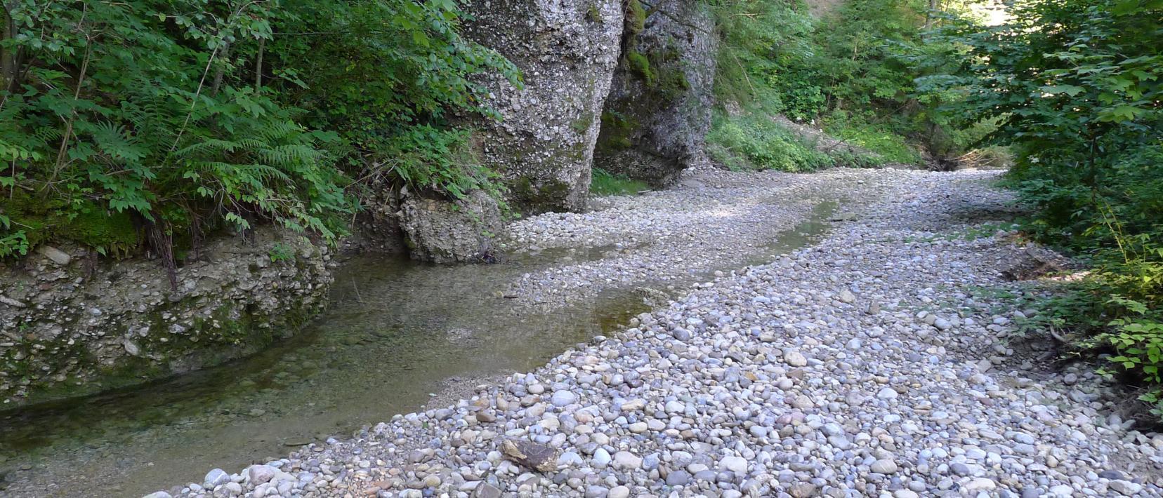 Geschiebe in einem Bach, umrahmt von Bäumen und Gebüsch.